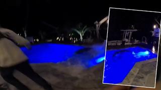 Hareketli dakikalar yaşandı! Amerika Birleşik Devletleri’nde evin havuzuna giren 3 metrelik timsah böyle çıkartıldı