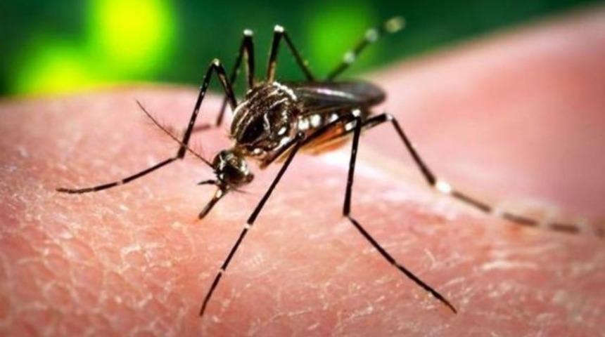 Sağlık Bakanı Ahmet Demircan'dan Zika a&ccedil;ıklaması