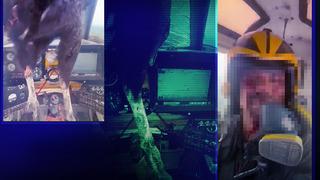 Havada kaos! Uçağa çarpan kuş kokpite girdi... Faciadan dönüldü