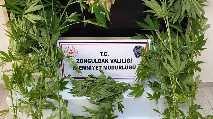 Zonguldak’ta uyuşturucu operasyonu