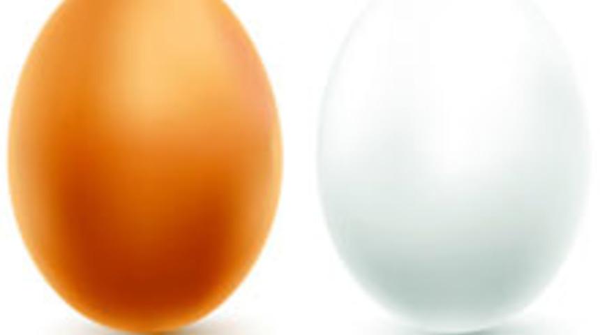 Yumurta: En ucuz kaliteli protein kaynağı