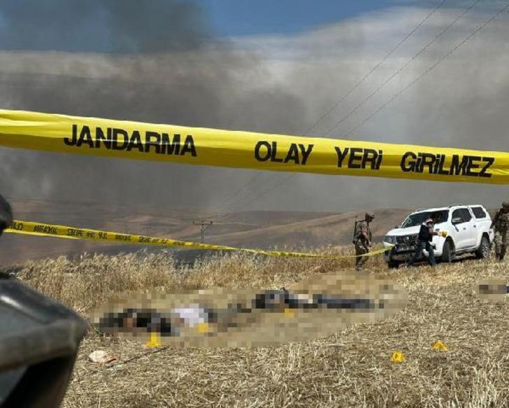 Diyarbakır'da 9 kişinin öldüğü arazi kavgasında korkunç detay! Daha önce uzun namlulu silahlarla meydan okumuşlar