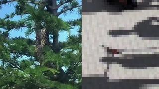 Sosyal medyada paylaşılan görüntü paniğe neden oldu! Görenler bir anda evlerini terk etti: Gerçek ise itfaiye ekiplerin gelmesiyle ortaya çıktı