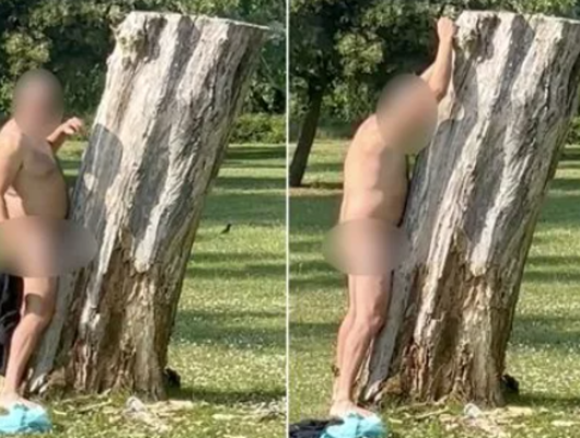 Çırılçıplak soyunup ağaçla cinsel ilişkiye girmeye çalıştı