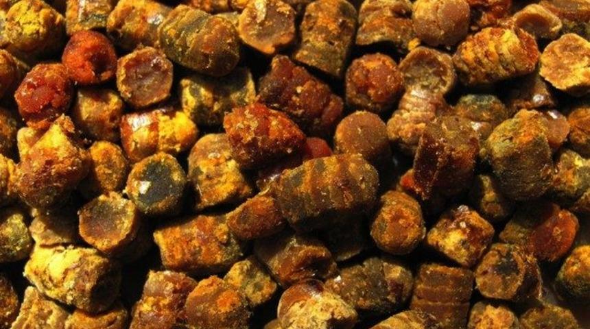 Geç keşfedilen besin deposu: Arı ekmeği