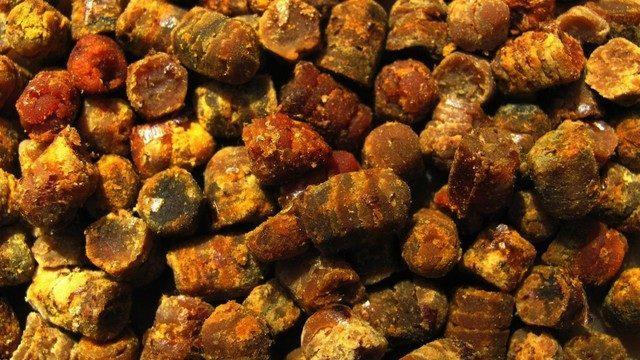 Geç keşfedilen besin deposu: Arı ekmeği