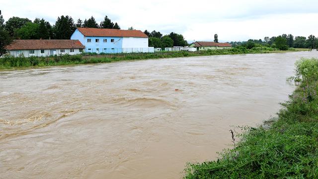 Tehlikeyi fark edince... Otobüste Türk vatandaşları vardı! Sırbistan'daki selde felaketten dönüldü