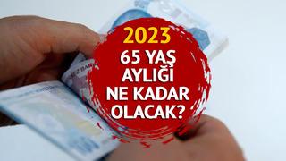 65 YAŞ AYLIĞI 2023: ASGARİ ÜCRET ZAMMI 2023 ile 65 yaş aylığı ne kadar olacak, kaç TL? Temmuz ara zammı ile yükselecek