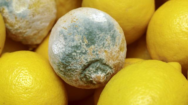 Limonları yanlış saklıyormuşuz! Aylarca bozulmaması için...