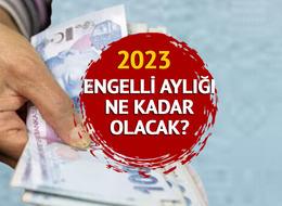 ENGELLİ AYLIĞI 2023: ASGARİ ÜCRET ZAMMI 2023 ile engelli aylığı ne kadar olacak, kaç TL?
