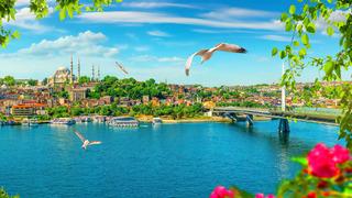 Seçimlerine göre gerçekte hangi memlekettensin?