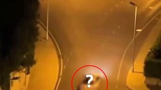 Başakşehir’de kaydedilen bu görüntüyü izleyenler şaşıp kaldı! İlginç bir tercih yaparak olağan dışı bir yerde seyahat etti