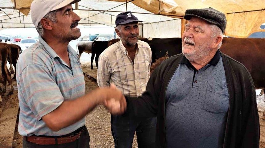 Kurbanlıklar görücüye çıktı, sıkı pazarlıklar başladı