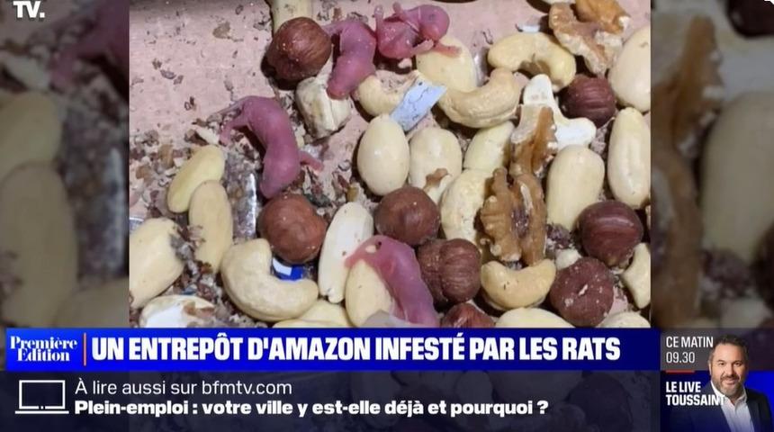 Dünya devi Amazon'un gıda deposu 'fare istilası' altında! "Burada hasta olmaktan korkuyoruz..."