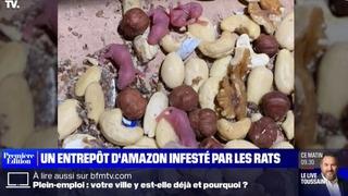 Dünya devi Amazon'un gıda deposu 'fare istilası' altında! Burada hasta olmaktan korkuyoruz...