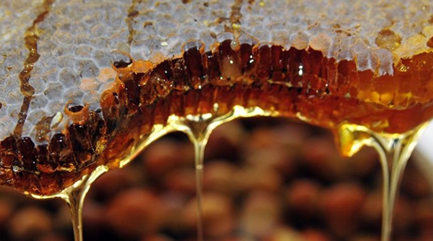 Petek bal yemeyin, süzme bal tüketin