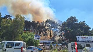 Antalya'da çıkan orman yangını korkuttu! Alevler kısa sürede yayıldı... 1 saatin ardından kontrol altına alındı