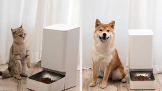 Evde olmadığınızda da evcil hayvanınızı kolayca besleyin! Evcil hayvan sahiplerinin alması gereken ürünler