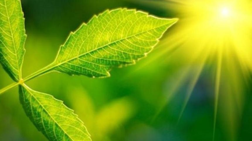 Yapay fotosentez ortamı oluşturmak m&uuml;mk&uuml;n olabilir mi?