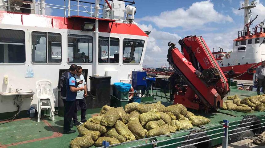 Son 6 ayın verileri yayımlandı: 70 ton kaçak midye ele geçirildi, 1 milyon liradan fazla para cezası kesildi!