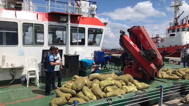 Son 6 ayın verileri yayımlandı: 70 ton kaçak midye ele geçirildi, 1 milyon liradan fazla para cezası kesildi!