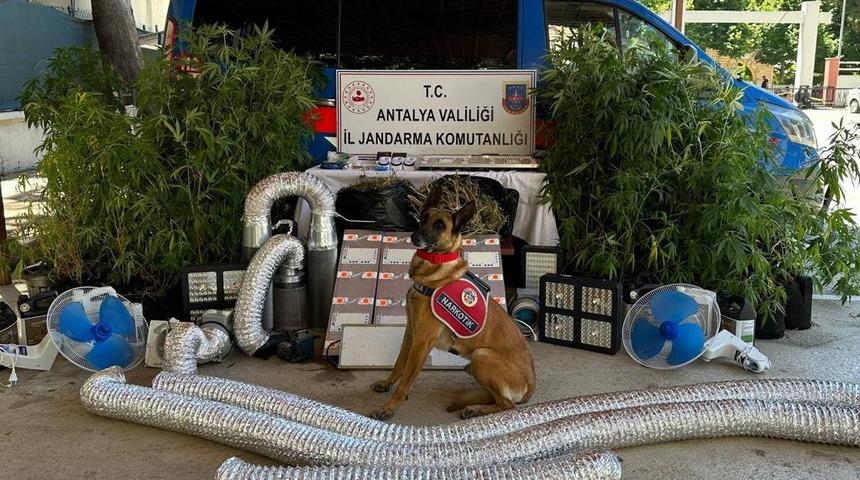 Antalya'da uyuşturucu operasyonlarında 79 şüpheli yakalandı