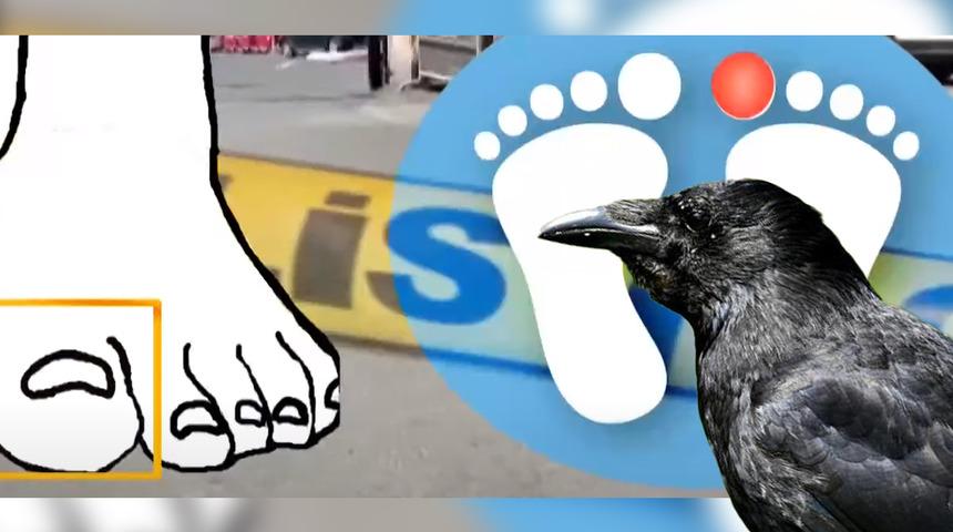 Yer: İstanbul! Önüne kesik parmaklar düştü, kargalar tüyler ürperten cinayeti ortaya çıkardı