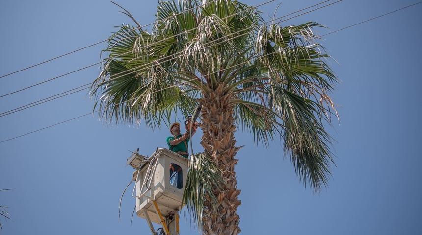 Kuşadası Belediyesi’nden bayram temizliği