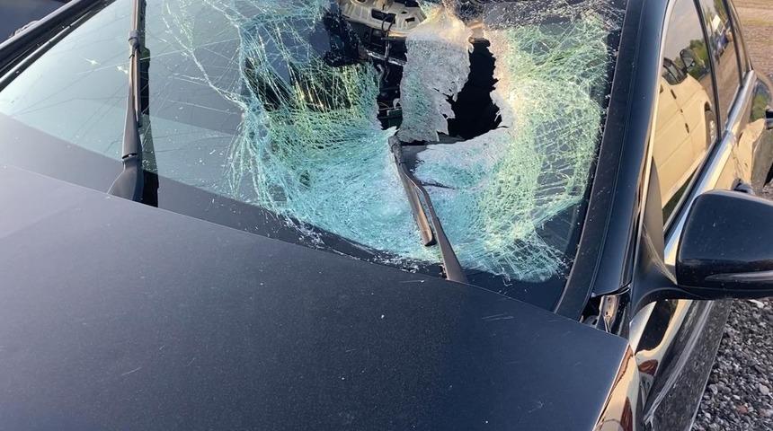 THY kaptan pilotu taşın fırlamasıyla oluşan kazada &ouml;ld&uuml;