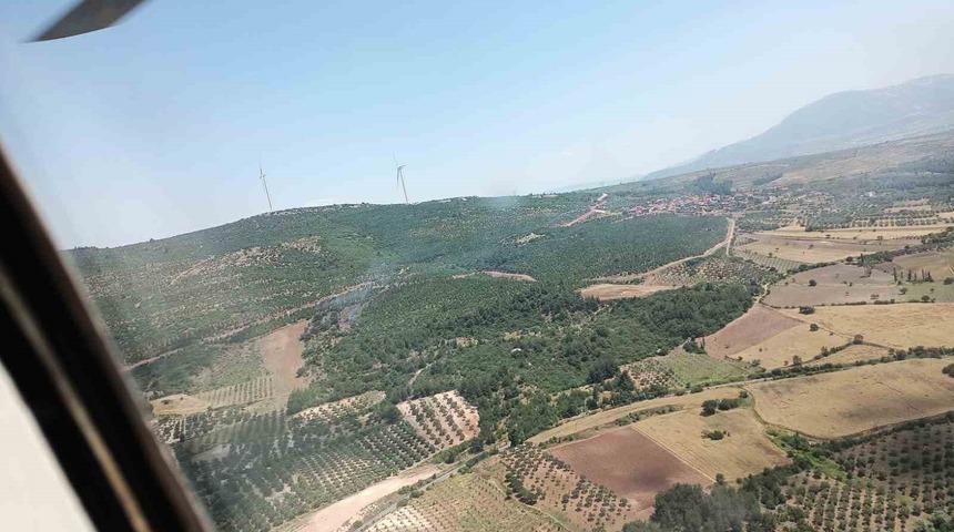 Manisa’da orman yangını