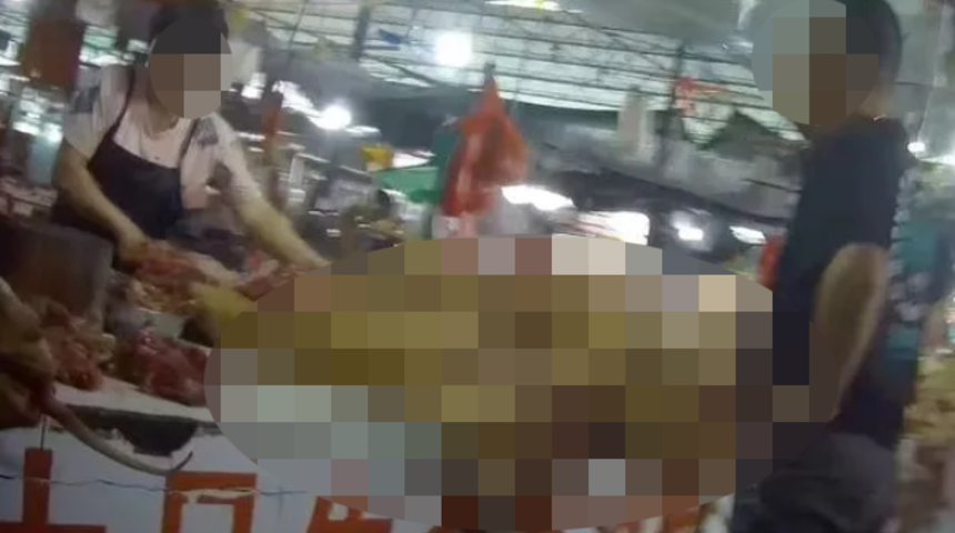 Çin’den skandal görüntüler! Köpek Eti Festivali için pazar kurdular... Evcil köpekleri çalarak işkence ediyorlar