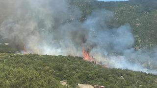 Kaş'ta çıkan orman yangını kontrol altına alındı