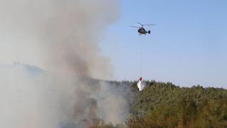 SON DAKİKA | Adana'da orman yangını! Yüzlerce personel ile müdahale etti: 3 saatte kontrol altına alındı