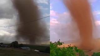 Yer: Bitlis! Aniden ortaya çıktı... Korku dolu anlara neden oldu