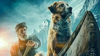 Vahşetin Çağrısı filmi konusu nedir, oyuncuları kimler? Vahşetin Çağrısı ne zaman çekildi? Bir Jack London klasiği!