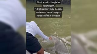 Her şey bir anda gelişti! Köpek balığı elini yıkayan adamı karanlık sulara çekti... İşte saniye saniye dehşet anları!