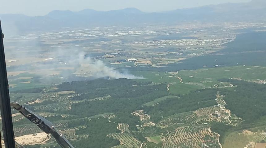 İzmir'de orman yangını! Havadan ve karadan müdahale... Kontrol altına alındı