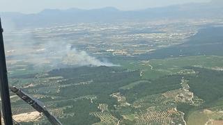 İzmir'de orman yangını! Havadan ve karadan müdahale... Kontrol altına alındı