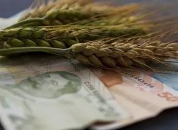 Yeni fiyatları belli oldu! Ekmeklik buğday, makarnalık buğday ve arpada 2023-2024 tarifesi