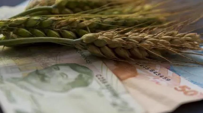 Yeni fiyatları belli oldu! Ekmeklik buğday, makarnalık buğday ve arpada 2023-2024 tarifesi