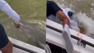 Korku dolu anlar! Elini yıkamak istedi bir anda köpek balığının saldırısına uğradı... Arkadaşları zar zor kurtardı