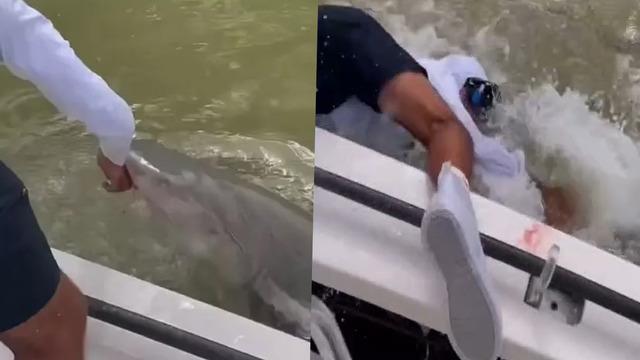 Korku dolu anlar! Elini yıkamak istedi bir anda köpek balığının saldırısına uğradı... Arkadaşları zar zor kurtardı