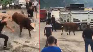 Yer: Artvin! İpini koparan boğa ortalığı birbirine kattı