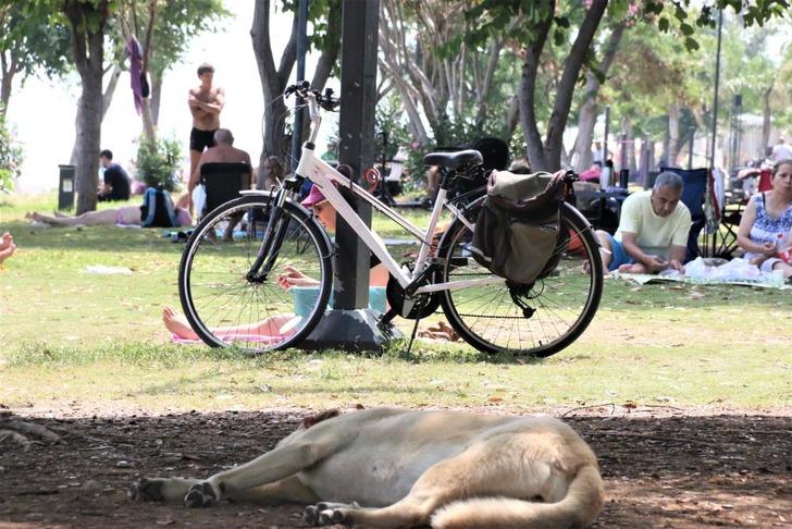 Görüntüler Konyaaltı Sahili'nden... Tatilciler akın etti, adım atacak yer kalmadı! "Kendimi Hindistan'da gibi hissediyorum" G3