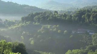 Bayram sabahı peş peşe gelen ihbarlar ekipleri harekete geçirdi! Korkutan sesler... Bu yıl da oldu