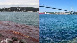 Ekrem İmamoğlu sosyal medyadan paylaştı! Kurban Bayramlarındaki eski görüntüden eser kalmadı