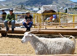 Fiyatı iki günde 5 bin lira düştü! Yüzde 80'i satıldı: Sıkı pazarlık devam ediyor
