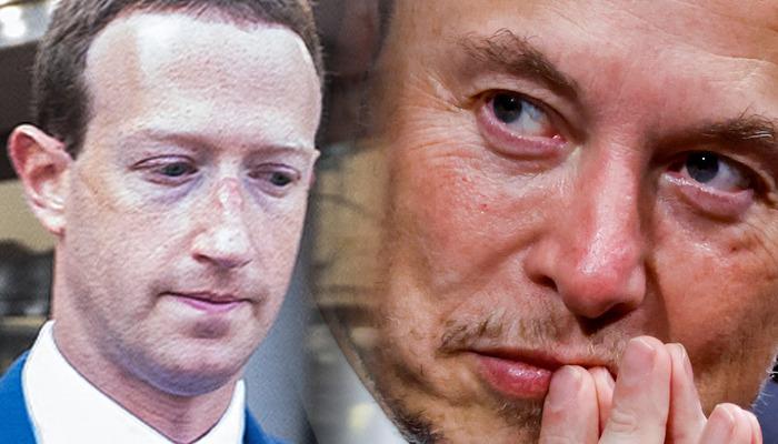 La “lotta in gabbia” di Elon Musk e Mark Zuckerberg può essere fatta lì!  Si sono svolte anche gare di gladiatori… Circa 2000 anni fa.