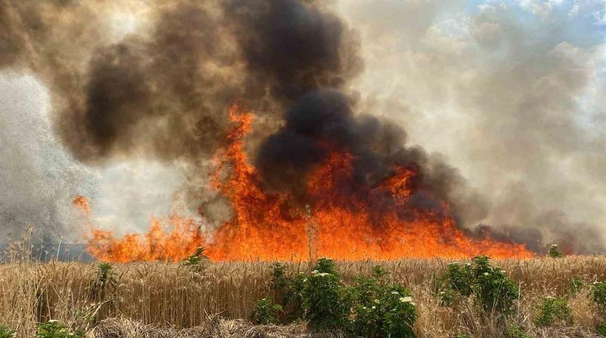 47 dönüm buğday tarlası 10 dakikada kül oldu! "3 gün içinde biçecektik"