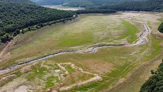 İstanbul'un suyunu sağlayan Kazandere Barajı'nda artık koyunlar otluyor! 'Türkiye için inanılmaz aciliyeti var' diyerek uyardı: Bugünden tezi yok başlamalıyız